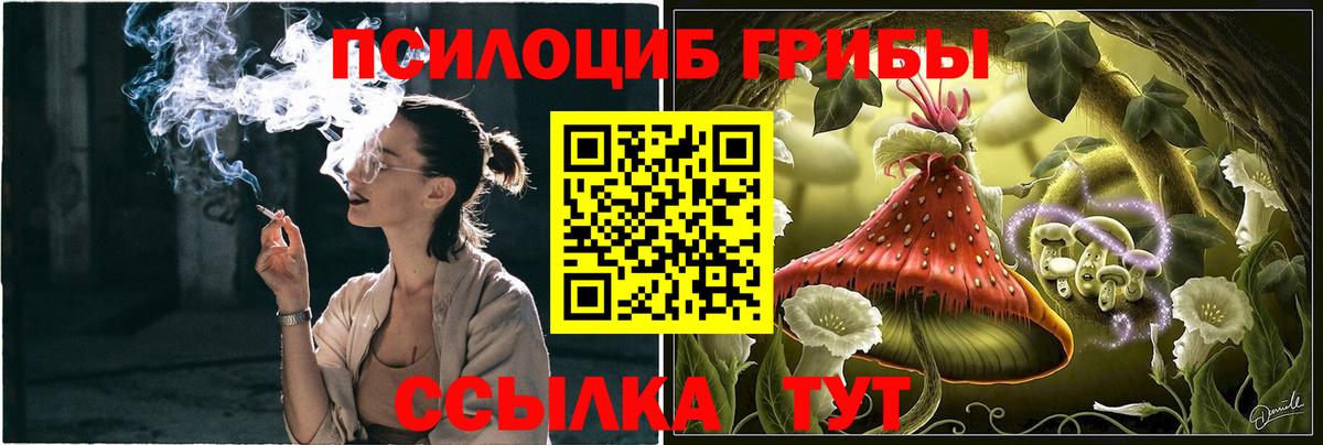 Галлюциногенные грибы Cubensis Кировск